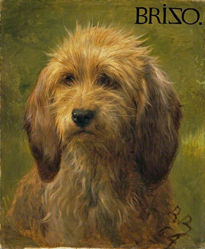 Oil painting of a dog with fluffy brown fur, long ears past it's chine and dark and eyes and nose. In the top right is the the name Brizo and in the bottom right the artists signature RB 64.